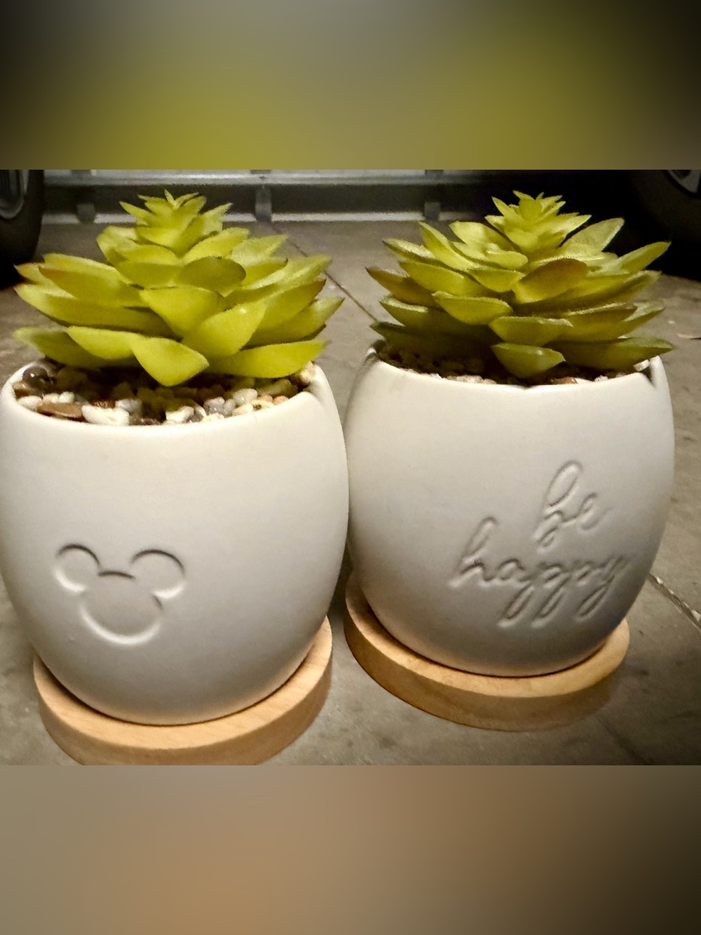 Disney Parks Homestead -set of 2